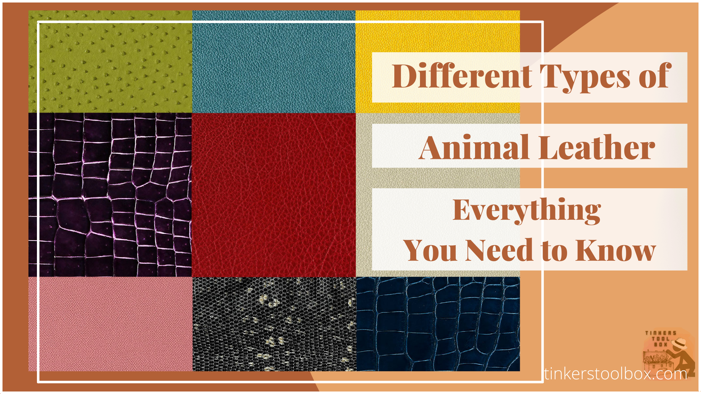 Different Types of Animal Leather: Everything You Need to Know - Tinkers  Tool Box